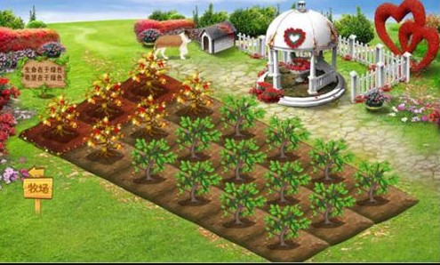 QQ�r�������½�B