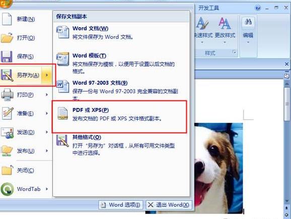 wps�D(zhu��n)pdf