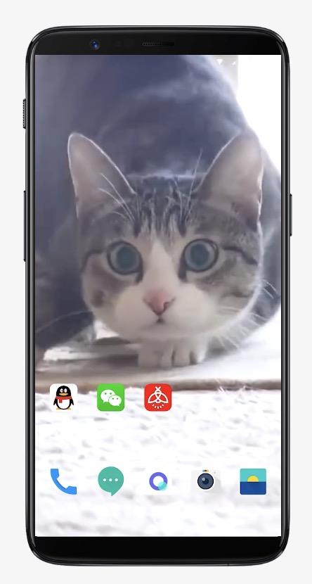 ��Ξҕ�l����