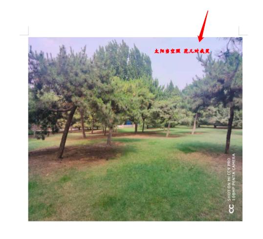 Word�ęn����ô�ڈDƬ����������